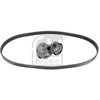 Image de Poly V-riem set 183486 FEBI