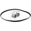 Image de Poly V-riem set 183562 FEBI