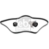 Image de Poly V-riem set 183563 FEBI