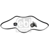 Image de Multi-V-riem- v-snaar set 183565 FEBI