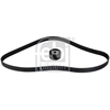 Image de Poly V-riem set 184756 FEBI