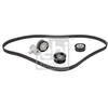 Image de Poly V-riem set 184826 FEBI
