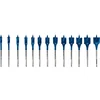 Image de Bosch Accesorios Fraise à Queue Expert Self Cut 10/12/13/14/16/18/20/22/24/25/28/30/32 Mm 13 Pièces