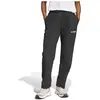 Image de Adidas Joggers Terrex Multi Liteflex