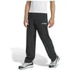 Image de Adidas Joggers Terrex Multi Liteflex