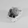 Image de Waterpomp P815 Hepu