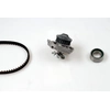 Image de Waterpomp + distributieriemset PK10641 Hepu