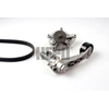 Image de Waterpomp + multiriemset PK08100 Hepu
