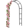 Image de Arcade de rosiers 240x140x37cm