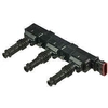 Image de Bobine GN1036212B1 Delphi