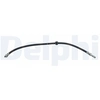 Image de Remslang LH7789 Delphi