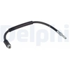 Image de Remslang LH7911 Delphi