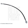 Image de Remslang ADN153256 Blue Print