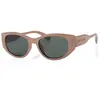 Image de Superdry Lunettes De Soleil Sds 5007 151