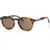 Image de Superdry Lunettes De Soleil Sds 5012 102