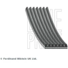 Image de Multiriem AD07R1257 Blue Print