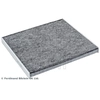 Image de interieurluchtfilter ADBP250052 Blue Print