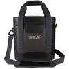 Image de Regatta Glacière Souple Portable Shield 10l
