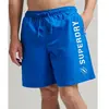 Image de Superdry Short De Bain Code Applque 19inch