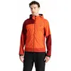Image de Dare2b Veste Softshell Mountaineer