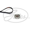 Image de Multiriem set K046PK955 Gates