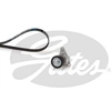 Image de Multiriem set K016PK1045XS Gates