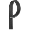 Image de Poly V-riem 8DPK1355 Gates