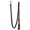 Image de Dyon Laisse Pour Chien Adjustable