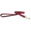 Image de Kentucky Laisse Pour Chien Nylon Plaited 15 Mm