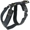 Image de Kentucky Harnais Pour Chien Active Velvet