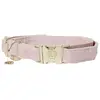 Image de Kentucky Collier De Chien Velvet