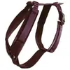 Image de Kentucky Harnais Pour Chien Active Velvet