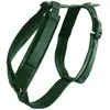 Image de Kentucky Harnais Pour Chien Active Velvet