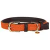 Image de Kentucky Collier De Chien Nylon Plaited