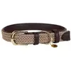 Image de Kentucky Collier De Chien Nylon Plaited