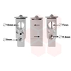 Image de Expansieventiel 59001171 International Radiators