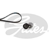 Image de Multiriem set K017PK1078 Gates