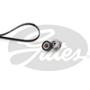 Image de Multiriem set K036PK1218 Gates