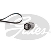 Image de Multiriem set K066PK1153 Gates