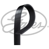 Image de Multiriem 8PK1600HD Gates