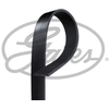 Image de Multiriem 8PK1910HD Gates