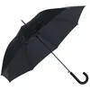 Image de Samsonite Parapluie Rain Pro Stick