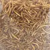 Image de Flamingo Nourriture Pour Oiseaux Picknic Mealworms 540g