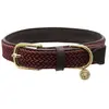 Image de Kentucky Collier De Chien Nylon Plaited