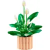 Image de LEGO Botanicals - Les Fleurs de Lune 11504 11504