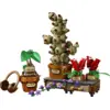 Image de LEGO Harry Potter - Les Plantes du Cours de Botanique de Poudlard 76474 76474