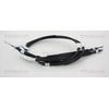 Image de Handremkabel 814024193 Triscan