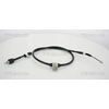 Image de Handremkabel 814018131 Triscan