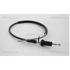 Image de Handremkabel 814017146 Triscan