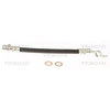 Image de Remslang 815013343 Triscan
